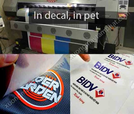 in decal in pet Tam Phat